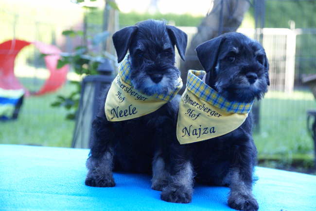 Neele & Najza - bald ziehen wir aus.