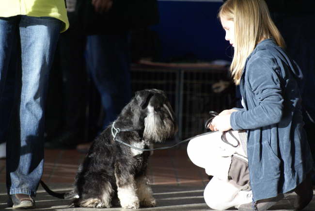 Konzentration auf das kommende Jugenhandling