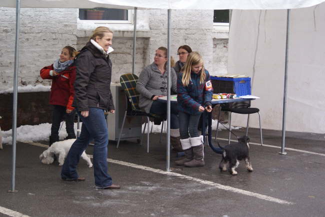 Jugendhandling auf der OG Schau Witten in Schwelm