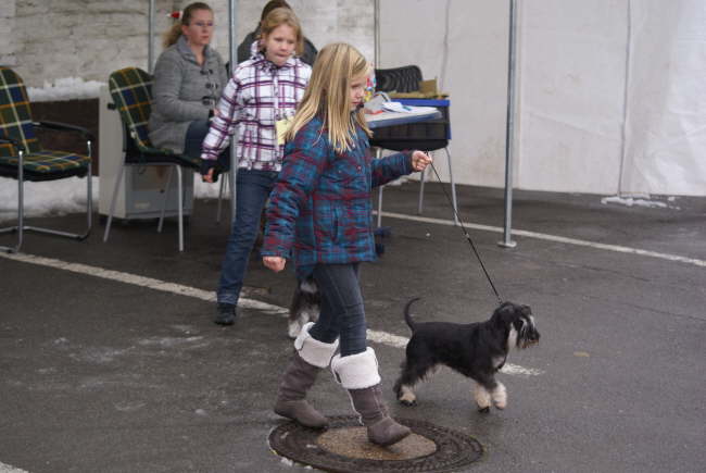 Lina mit Ivana - 02.12.2012 in Schwelm