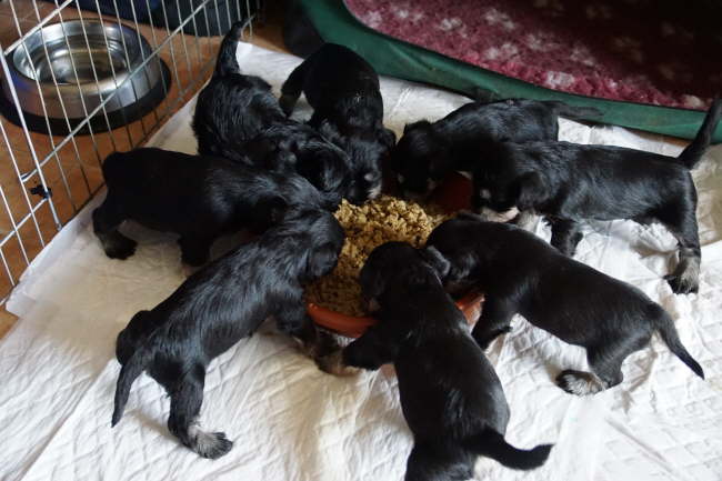 Besuch zum Essen - Emely ist auch da!