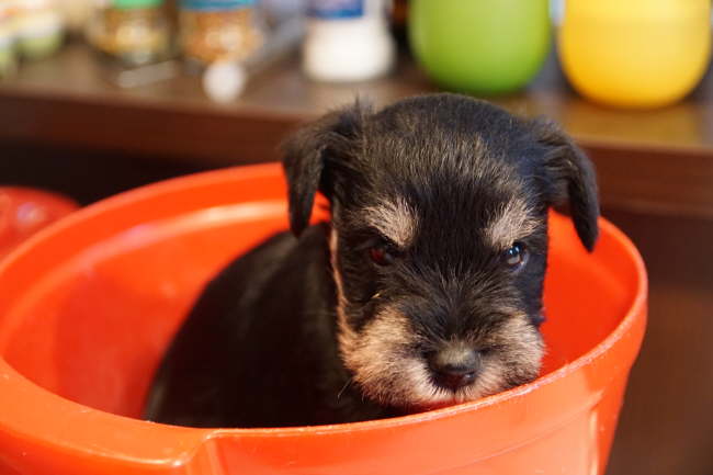 und gewogen werden wir auch st�ndig