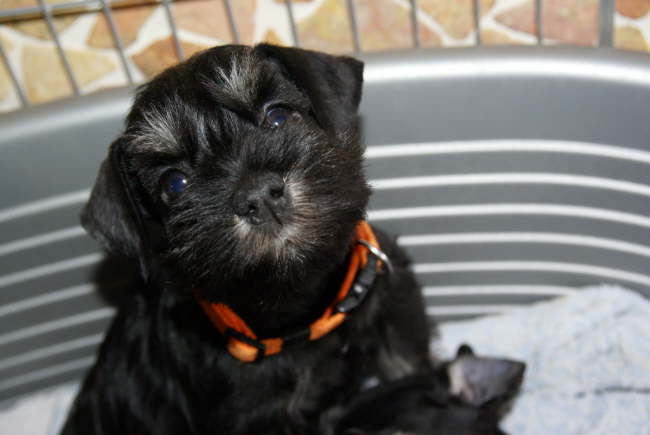 bin ich nicht s��???