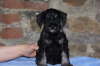 Quincy