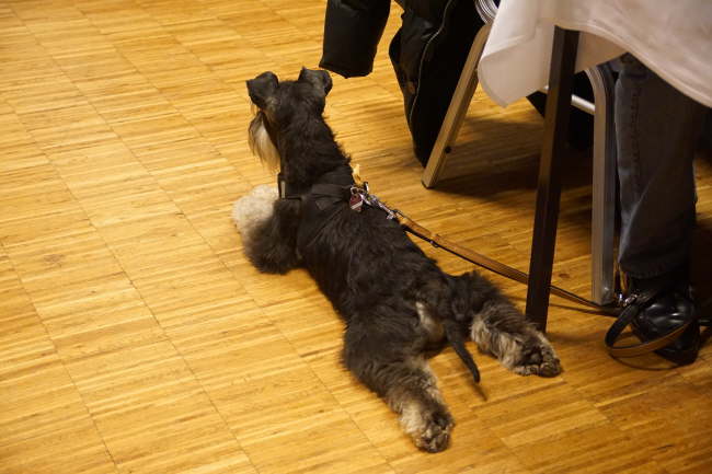 Axel liegt im Fr�schchen Style