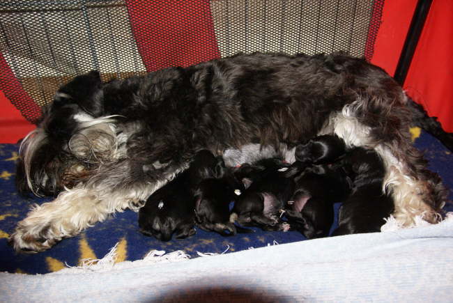 bei Mama ist`s lecker!