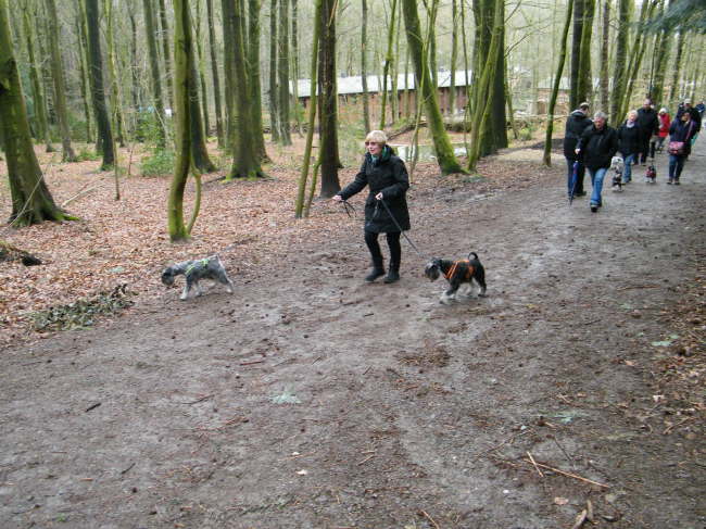 im Wald leinen wir dann ab.