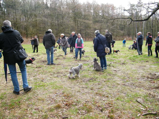 und die Hunde haben Spa�!