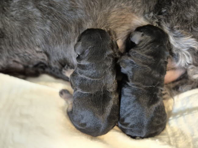 f7e6f0c8-30da-4bc2-9e4f-ee5b4ad6e439